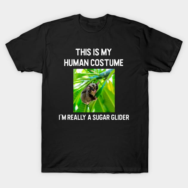 Sugar glider Halloween costume T-Shirt by zeevana